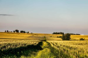 iowa-1731517_1920_compressed
